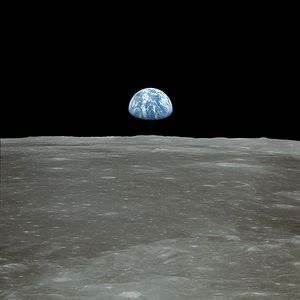 Meet your Posher, Sadie